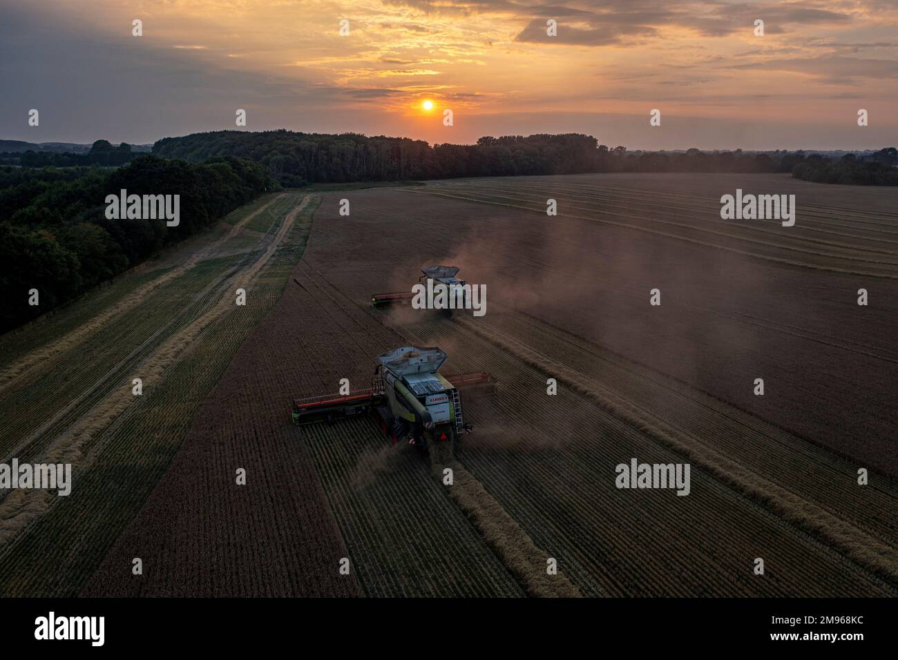 Two Claas 8900 harvester combines harvesting in the fields Stock Photo ...