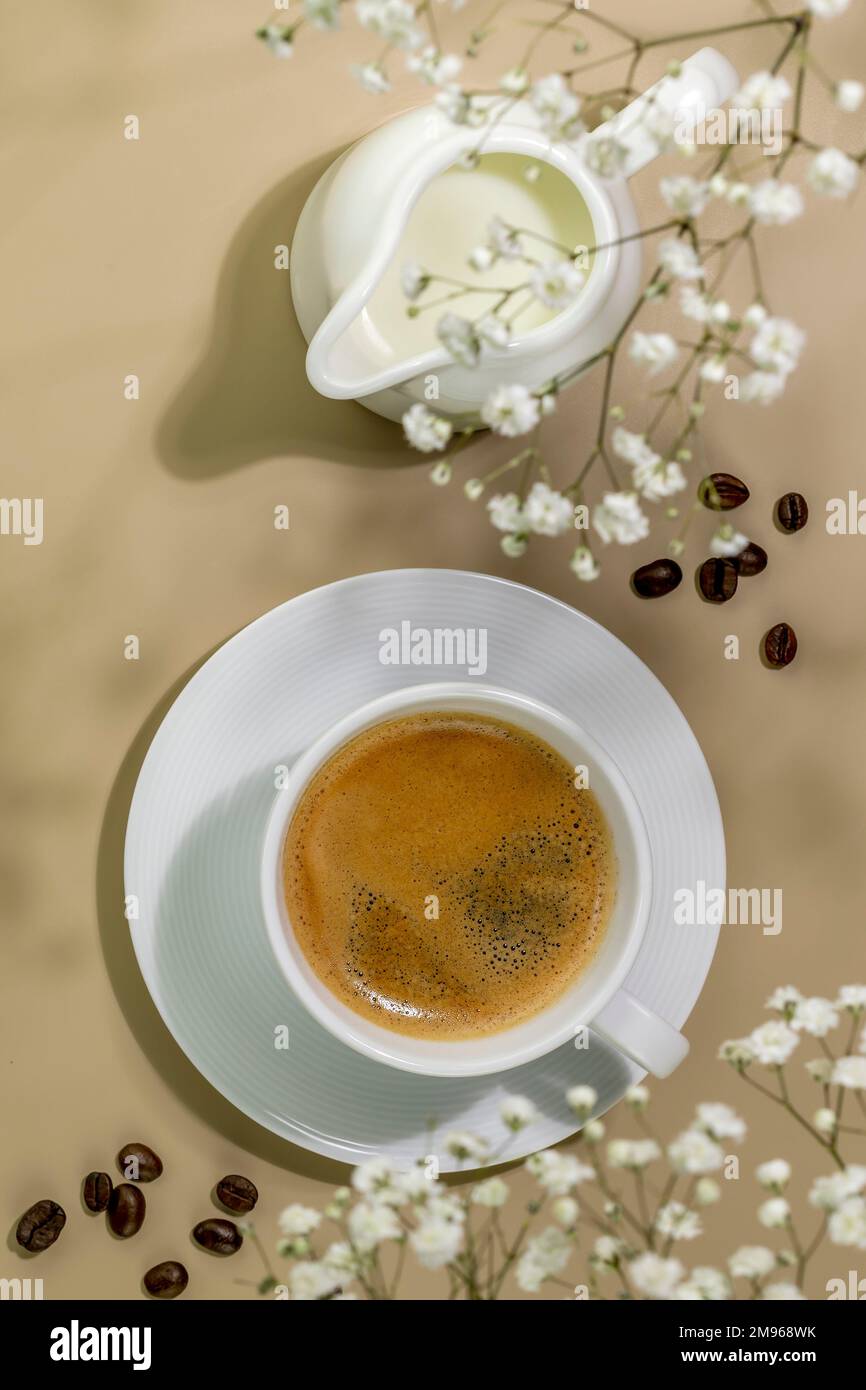 Cup of natural coffee, creamer with milk and coffee beans on beige background with white flowers and shadows. Spring morning composition with cup of e Stock Photo