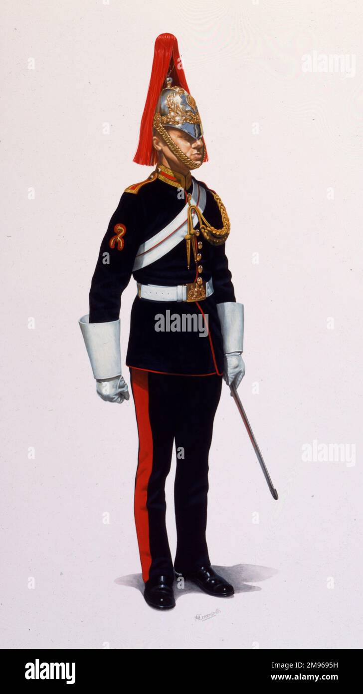 Blues and Royals - Corporal of the Horse (Riding Instructor) - Dismounted  Review Order. Painting by Malcolm Greensmith Stock Photo - Alamy
