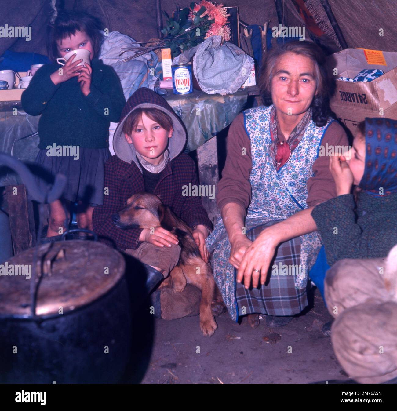 A roadside gipsy family inside a 'bender' (a tent like a wigwam, made out of sack and other materials), in the Newdigate area of Surrey. Stock Photo