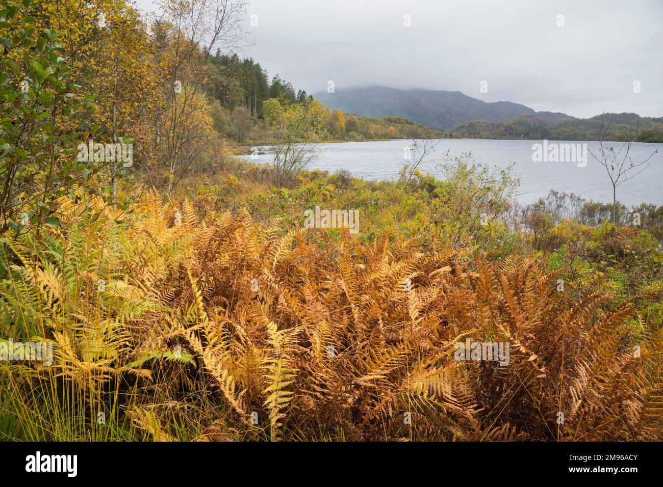 Loch Achray in autumn, Loch Lomond and Trossachs National Park, Scotland Stock Photo