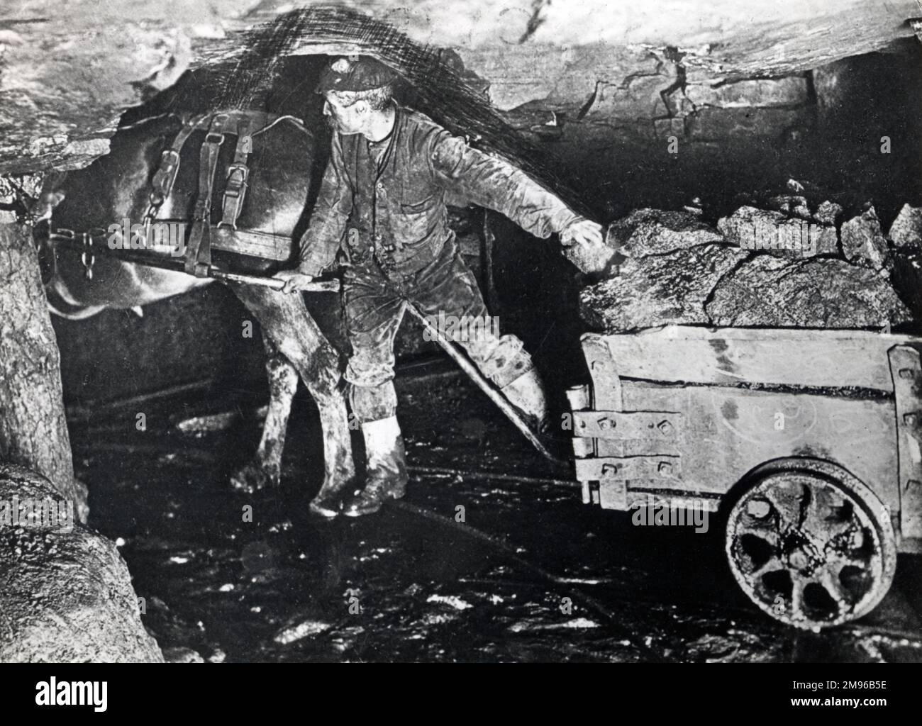 A haulier guides a horse, pulling a loaded dram (truck) along an underground track in a South Wales mine. Stock Photo