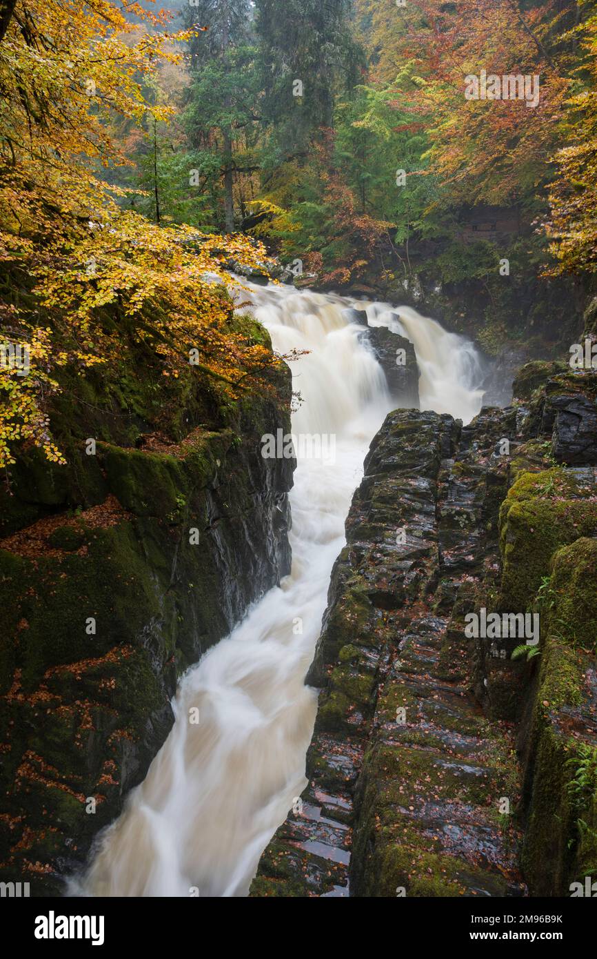 Waterfalls on the river Braan at the Hermitage, near Dunkeld in autumn, Perth and Kinross, Scotland Stock Photo