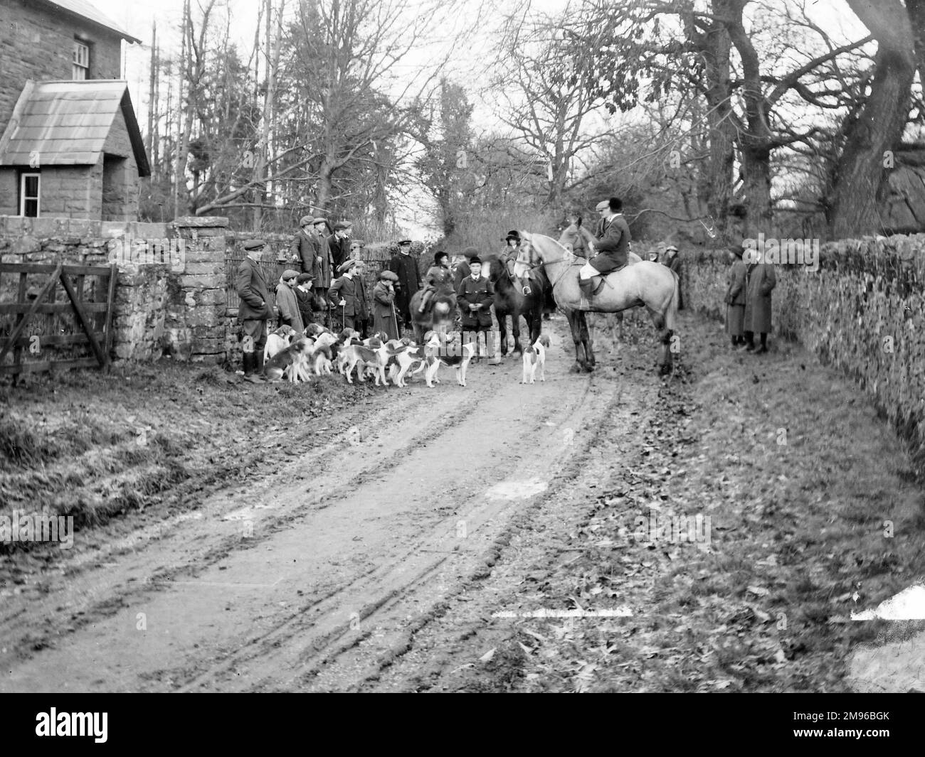 Members of the Crickhowell Hunt with horses and hounds on a country lane near Crickhowell, Powys, Mid Wales. Stock Photo