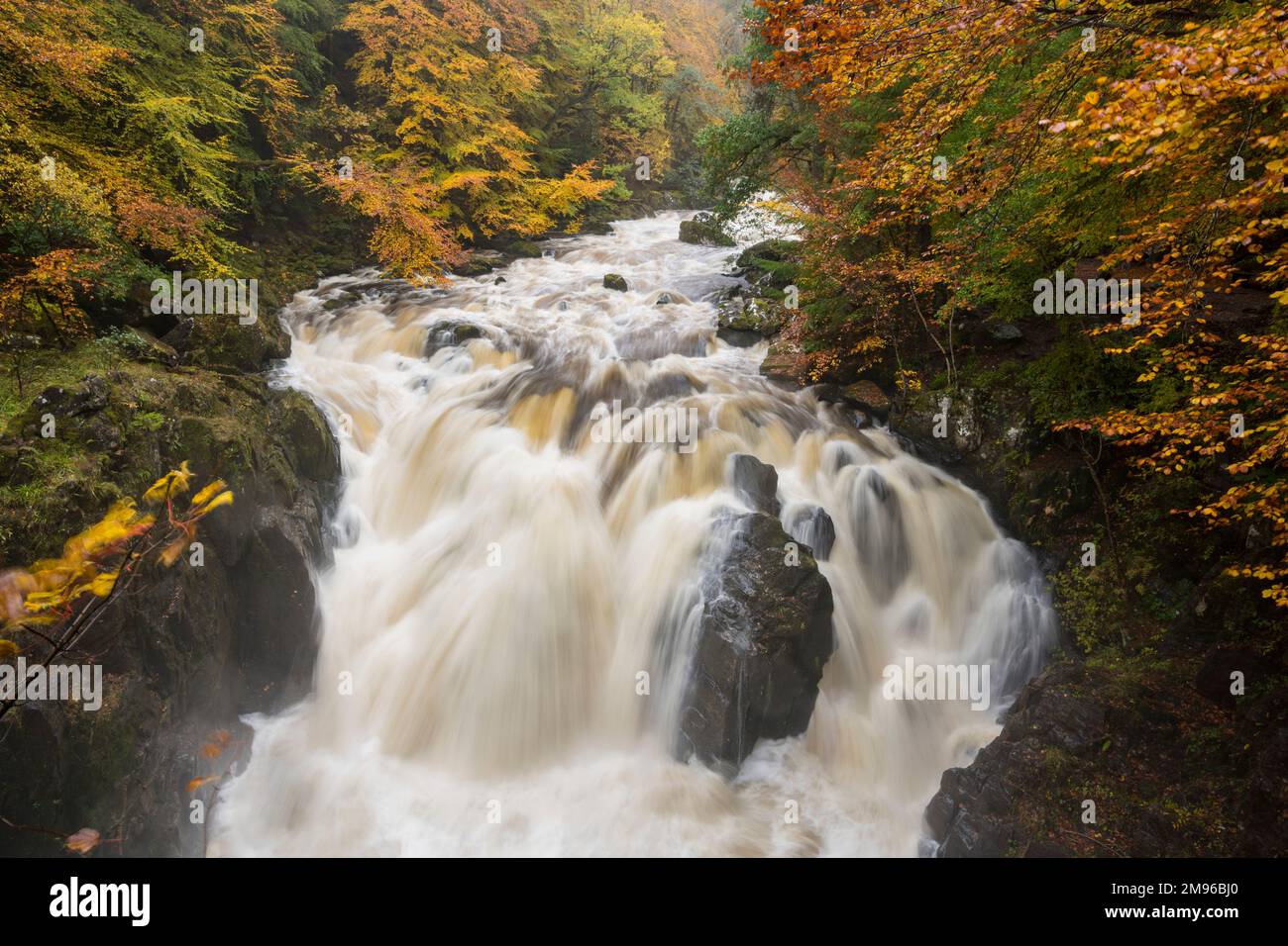 Waterfalls on the river Braan at the Hermitage, near Dunkeld in autumn, Perth and Kinross, Scotland Stock Photo