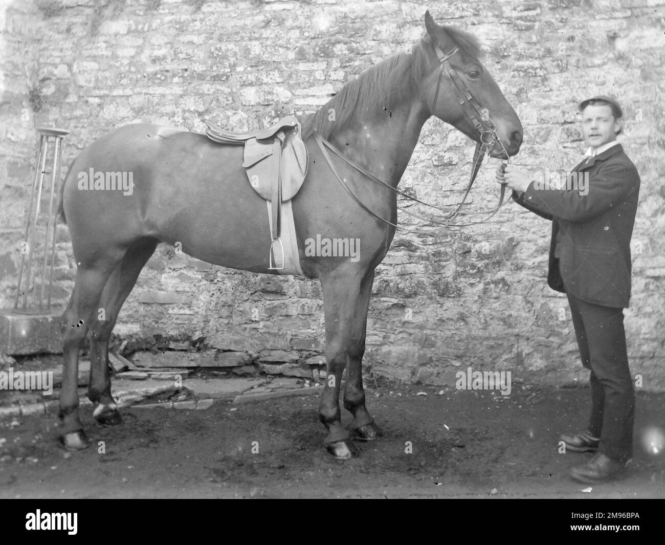 A groom with a saddled stallion in front of a stone wall, probably