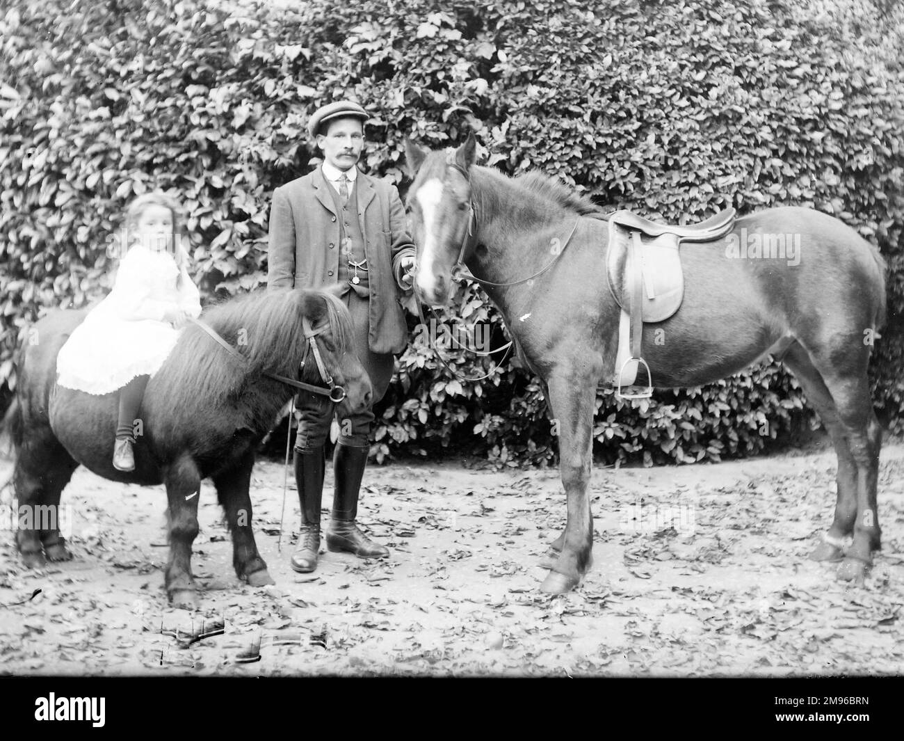 A father and daughter in a garden, probably somewhere in Mid Wales.  He is standing next to a small horse, holding its bit, while she bravely sits on the back of a Shetland pony. Stock Photo