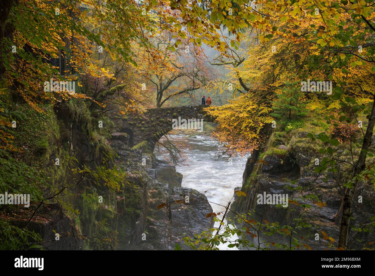 Bridge over the river Braan at the Hermitage, near Dunkeld, Perth and Kinross, Scotland Stock Photo