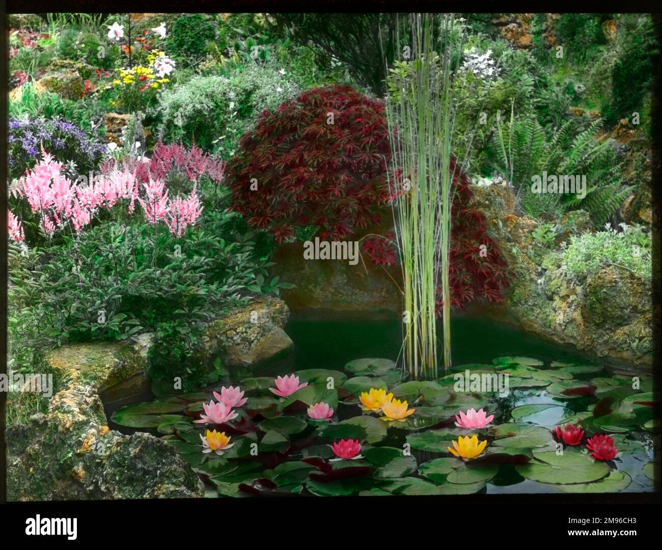 Flowers water gardens rockery hi-res stock photography and images - Alamy