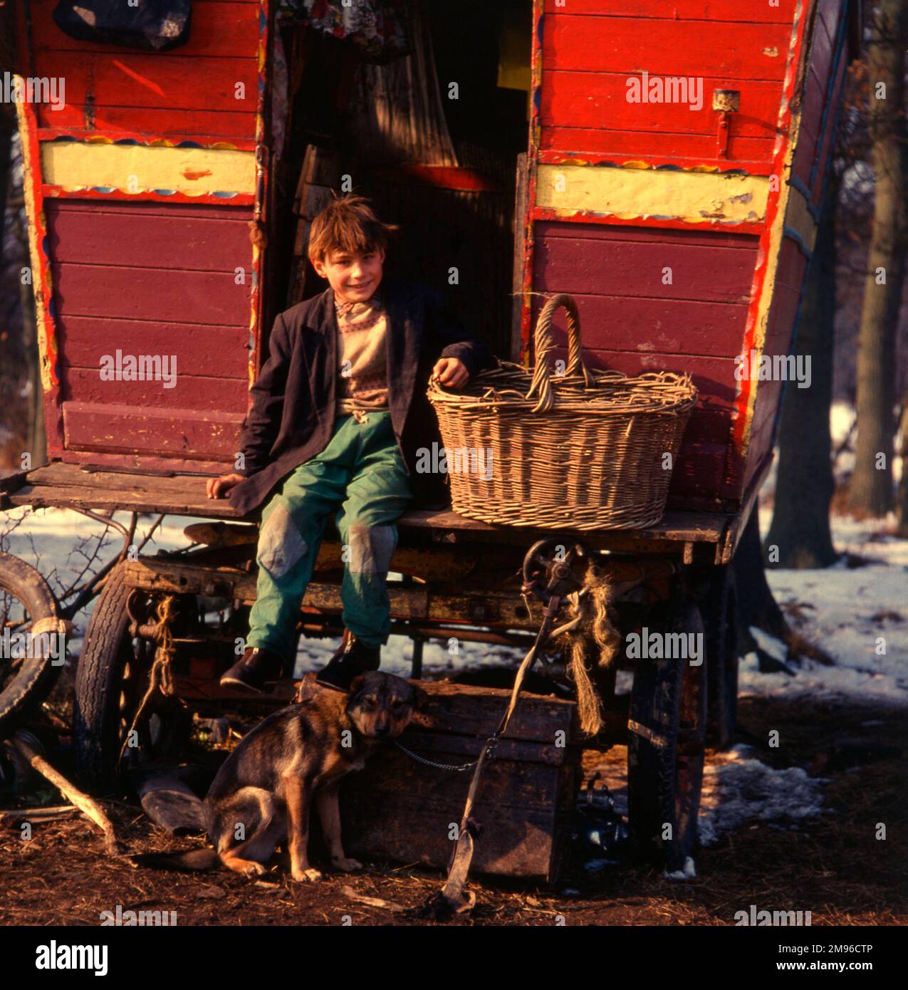 A smiling gipsy boy sitting on the back step of his red and yellow caravan, with a large basket at his side, and a pet dog at his feet. Stock Photo