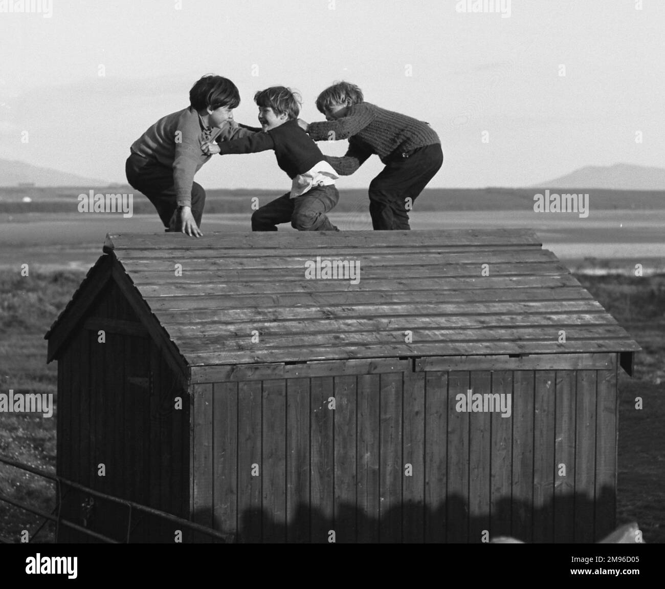 Three boys playing on top of a wooden shed in a rural area. They seem