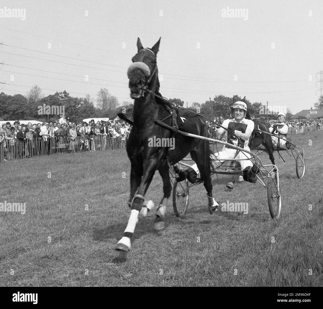 Horse trap race hi-res stock photography and images - Alamy
