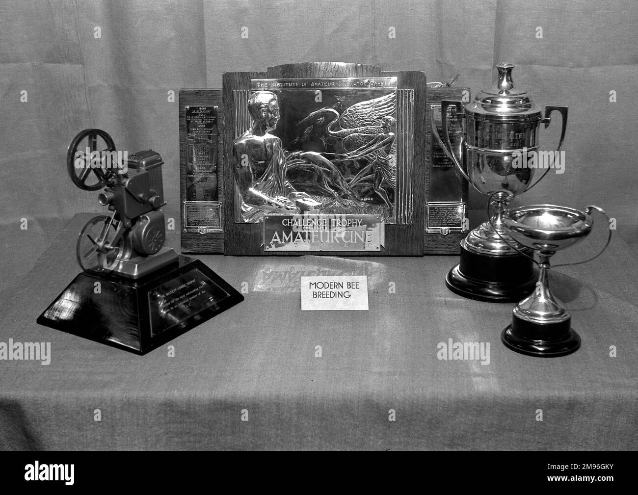 Various trophies on display.  The notice reads: Modern Bee Breeding, but the large trophy at the centre is for Amateur Cinematography, and the one of the left incorporates a film projector with two reels. Stock Photo