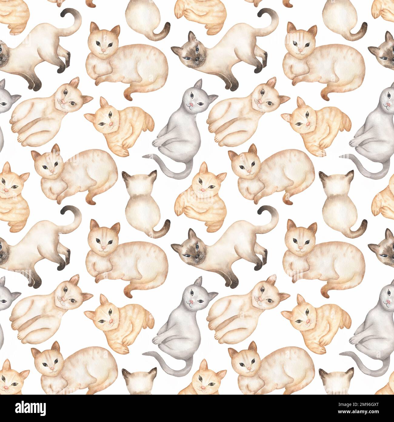 Kitten Around Printed Pattern Kitten Around Printed Pattern