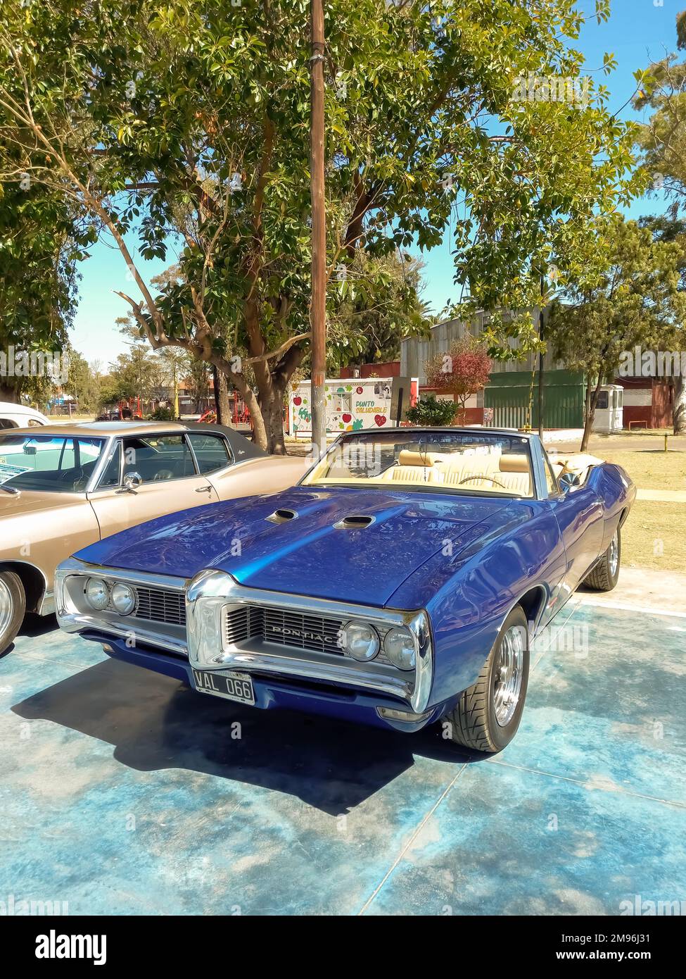Old blue sport 1969 Pontiac GTO two door convertible in a park. Front view. Nature, trees. Classic luxury muscle racing car. Stock Photo