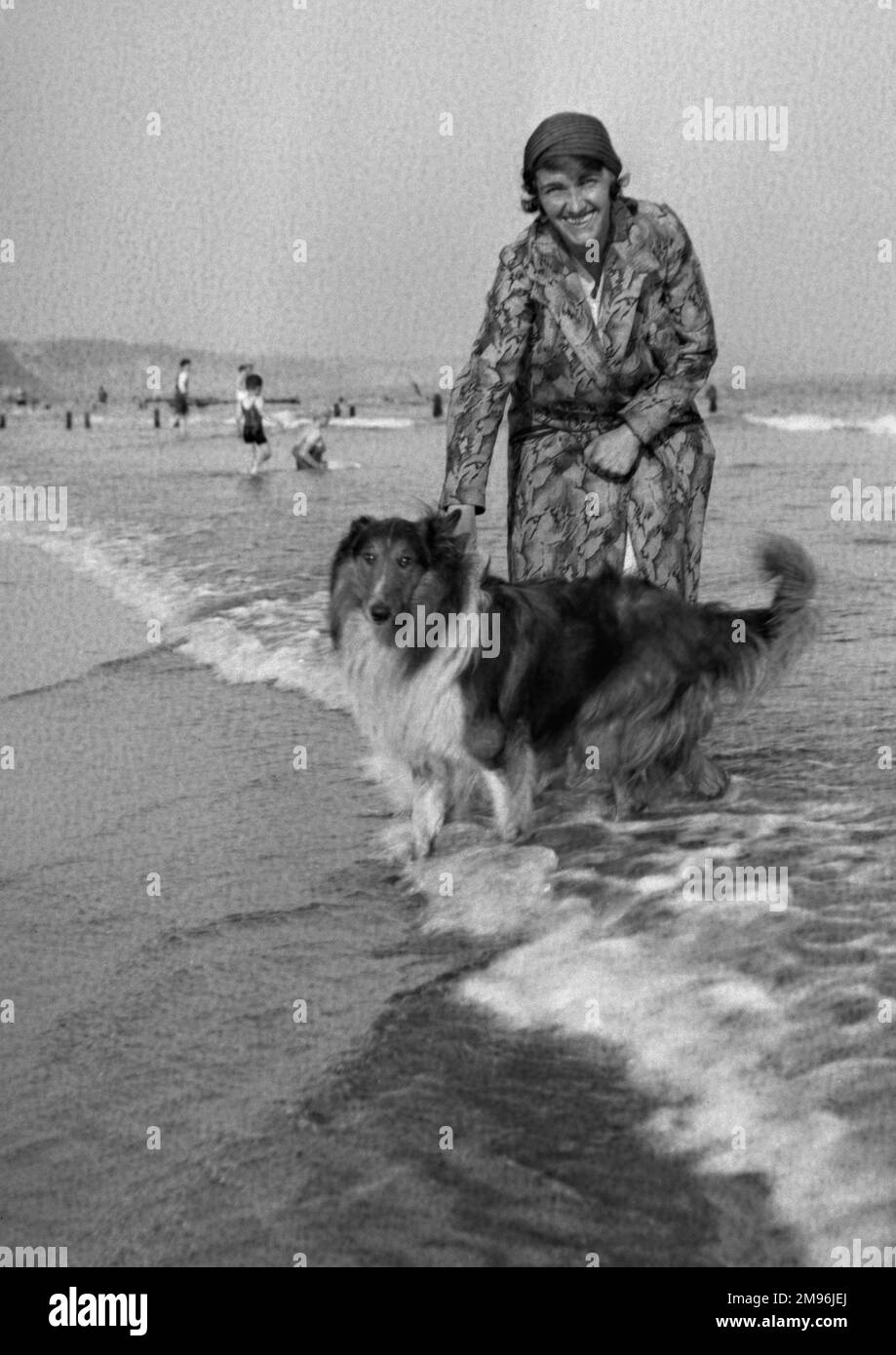 A woman with her collie dog, paddling in the sea. Stock Photo