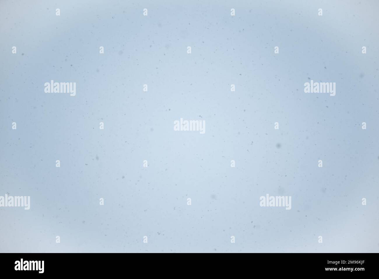 Winter landscape with falling snow. Winter landscape. Falling snow viewed from below. Stock Photo