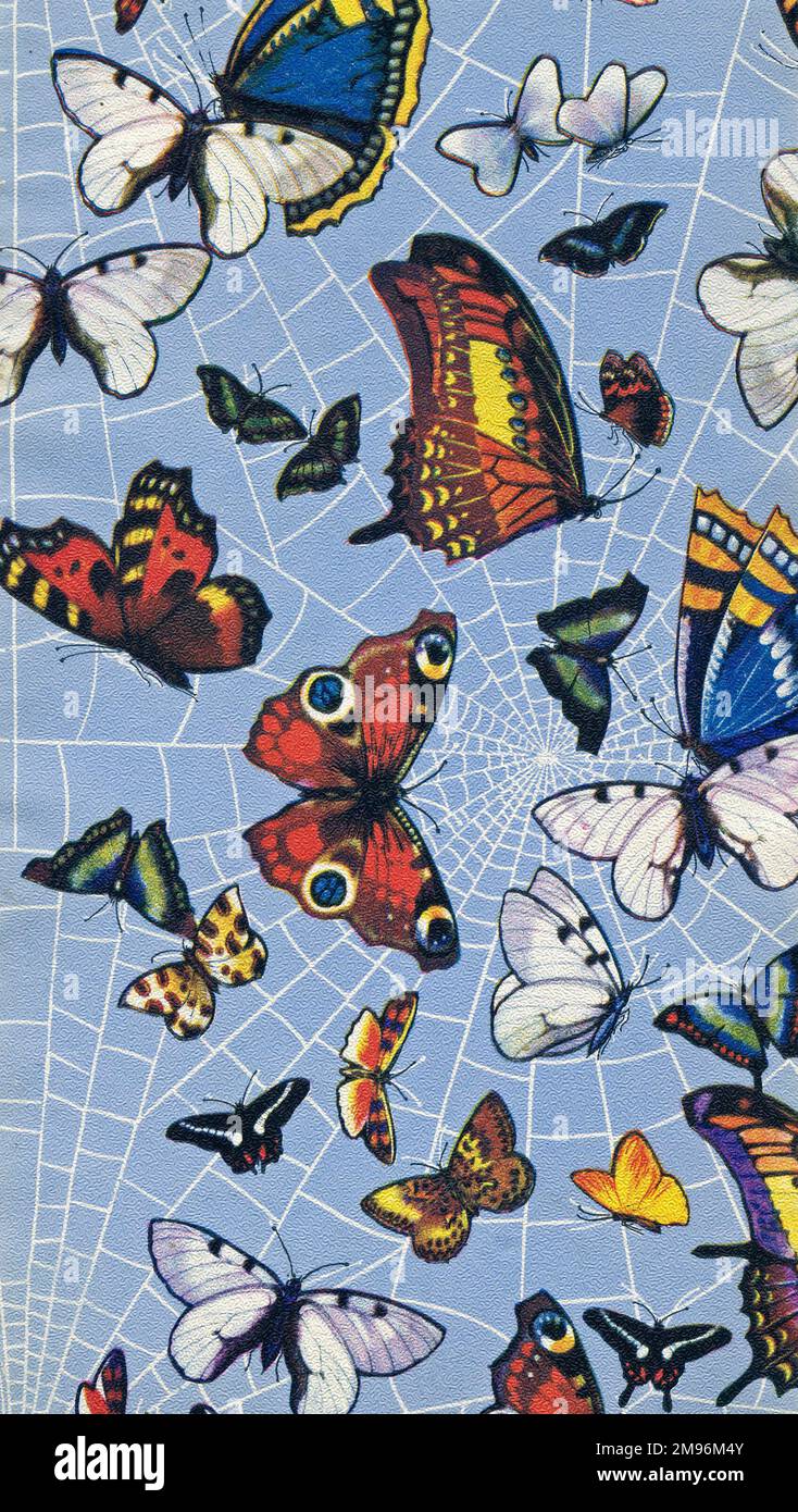 Wrapping Paper Sample Design multicoloured butterflies against a