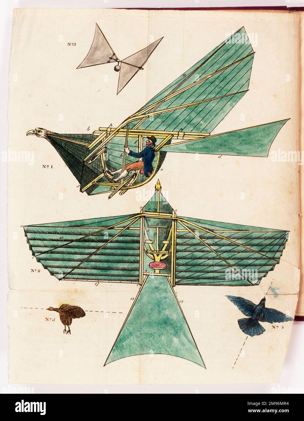 Designs for manpowered flight, modelled on birds Stock Photo Alamy