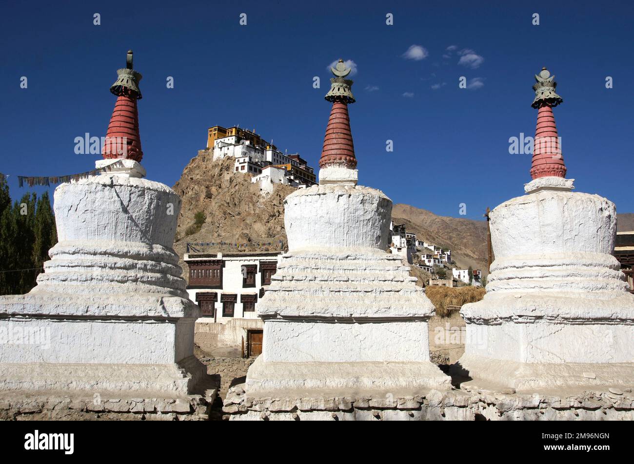 India, Jammu and Kashmir, Ladakh, Thiksey: Chorten, monastry at rear. Stock Photo