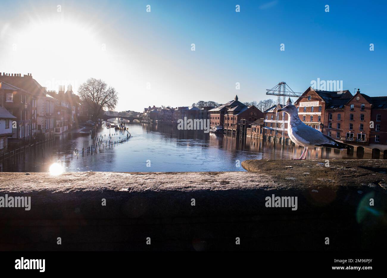 York, 17th January 2023. The river Ouse is very high and flood defense warnings are in place while Yorkshire sees blue skies, bitter cold and bright sunshine. Picture Credit: Ernesto Rogata/Alamy Live News Stock Photo