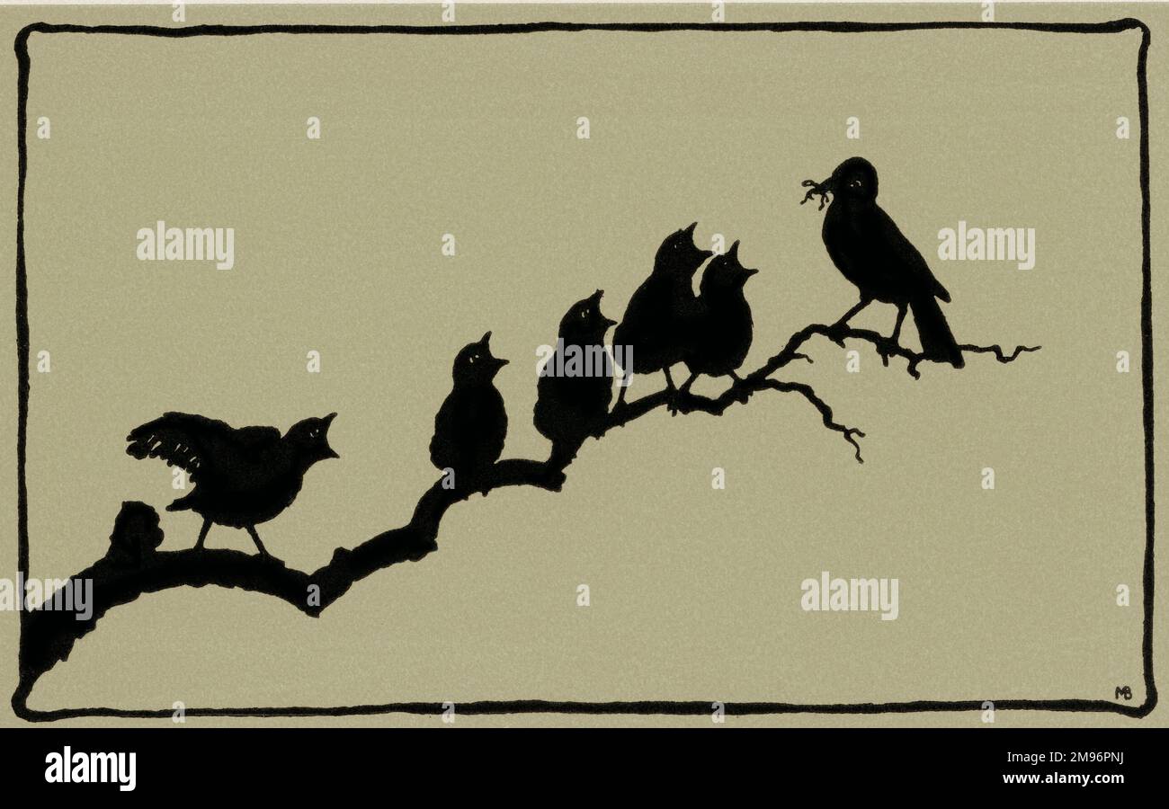 Silhouette of birds singing on branch Stock Photo