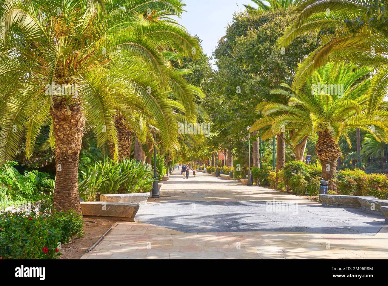 Sidewalk on the Paseo del Parque, Malaga, Spain Stock Photo
