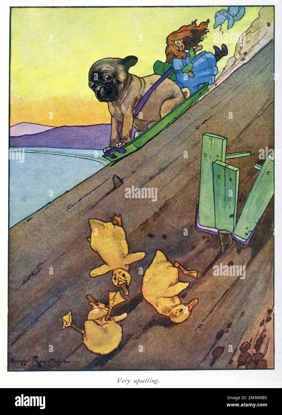 Pug Peter -- Very upsetting.  A dog and three ducklings slide or fall down a steep slope. Stock Photo