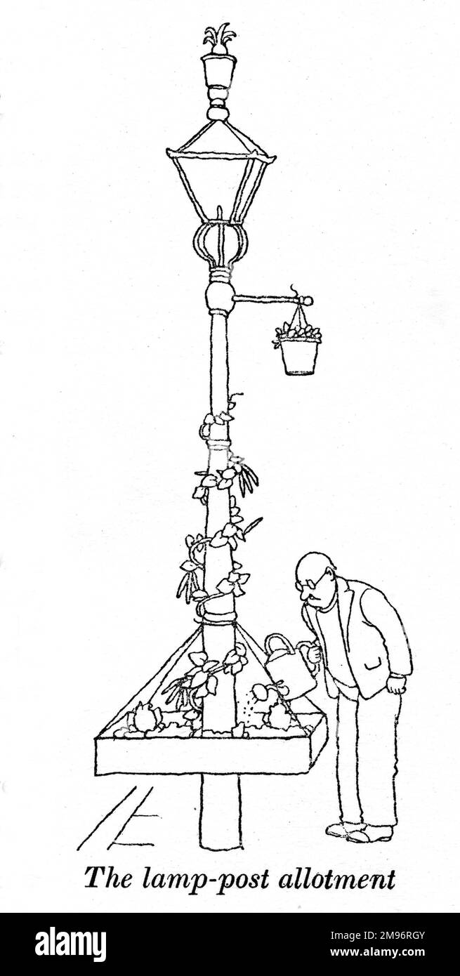 Heath Robinson - Wartime Cartoons - WWII.  The lamp post allotment. Stock Photo