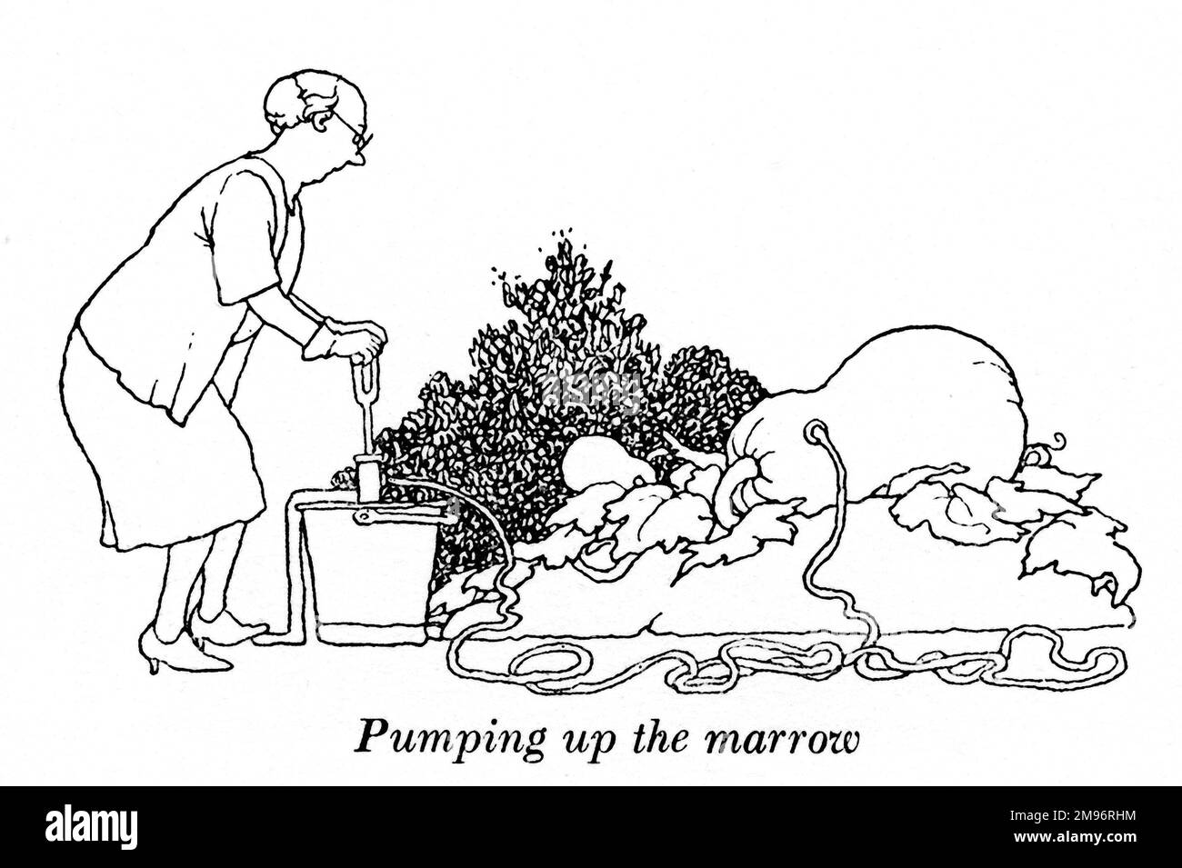 Heath Robinson - Wartime Cartoons - WWII.  Pumping up the marrow. Stock Photo