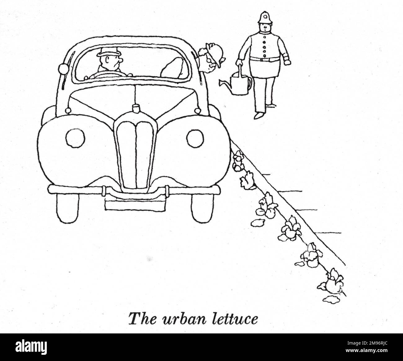 Heath Robinson - Wartime Cartoons - WWII.  The urban lettuce. Stock Photo
