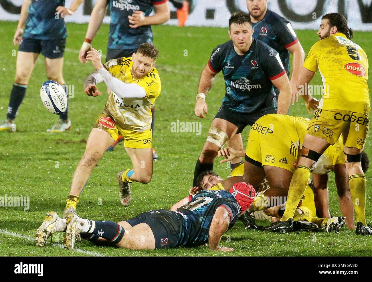 Tawera kerr barlow champions cup hi-res stock photography and images ...