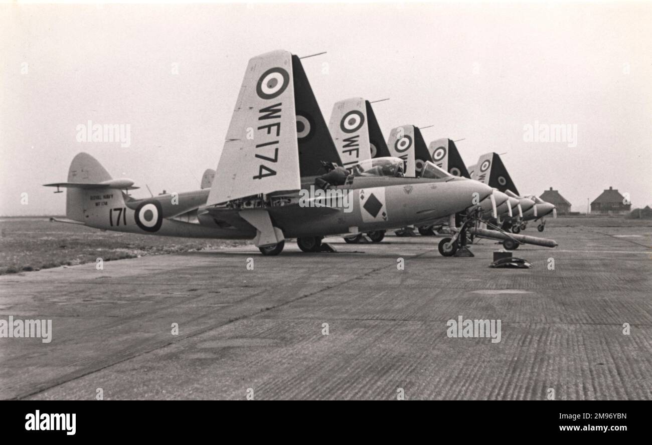 A line-up of Hawker Sea Hawk Is with wings folded. Stock Photo