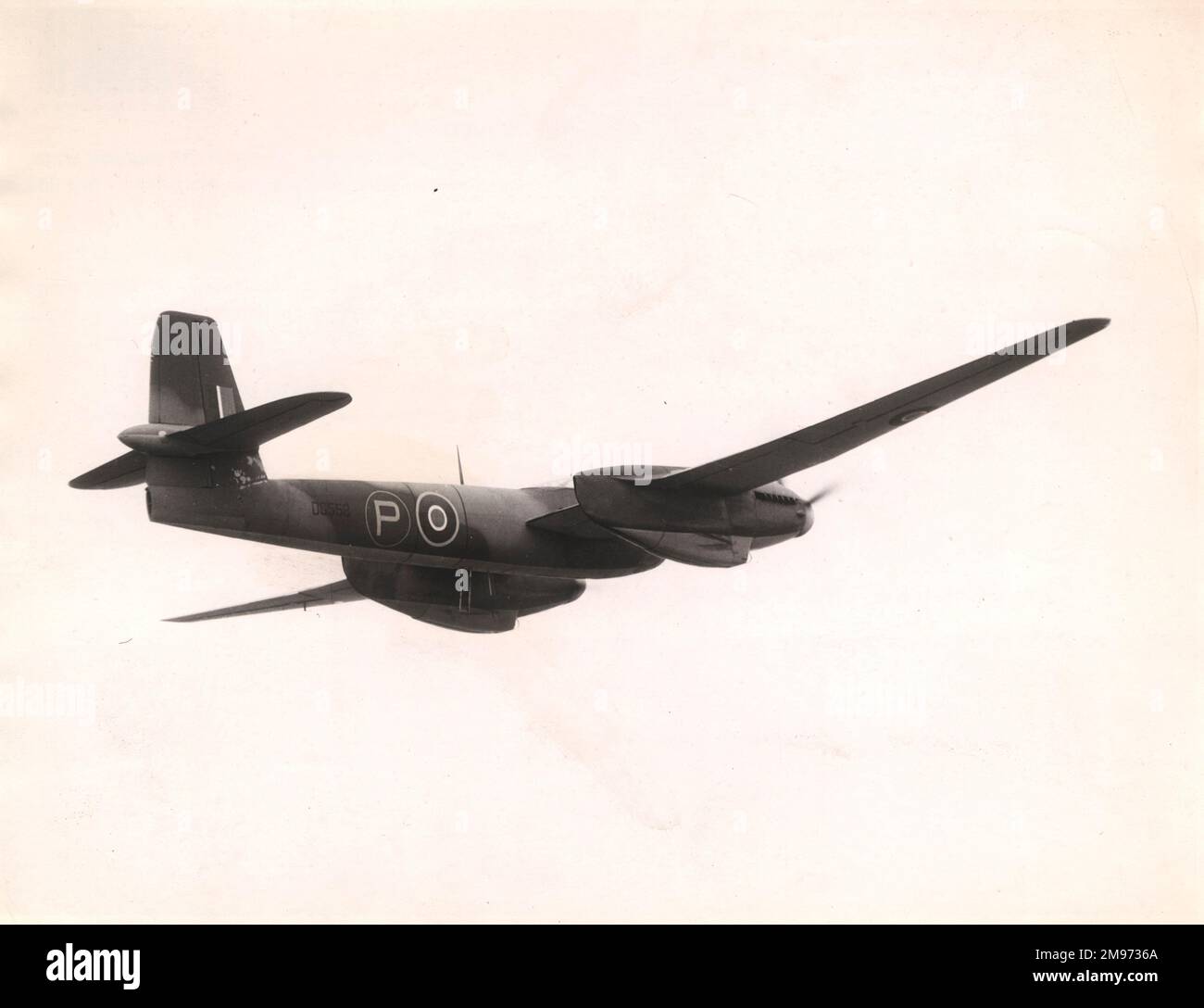 Westland welkin hi-res stock photography and images - Alamy Westland welkin hi-res stock photography and images - Alamy