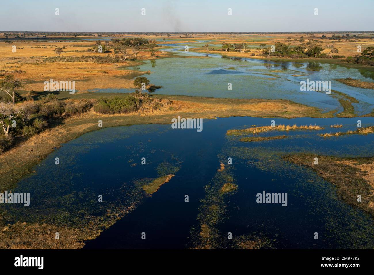 Aerial view of the Okavango Delta, Botswana. Stock Photo