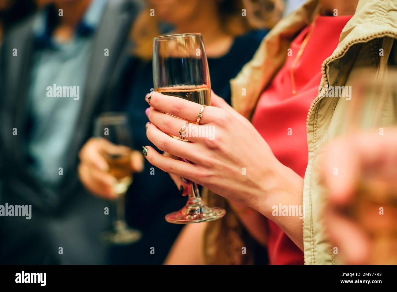 Champagne Bottle And Champagne Glass In Holiday Setting Stock Photo,  Picture and Royalty Free Image. Image 44184515.