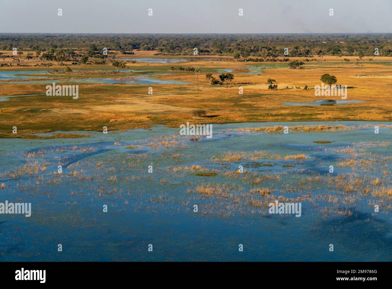 Aerial view of the Okavango Delta, Botswana. Stock Photo
