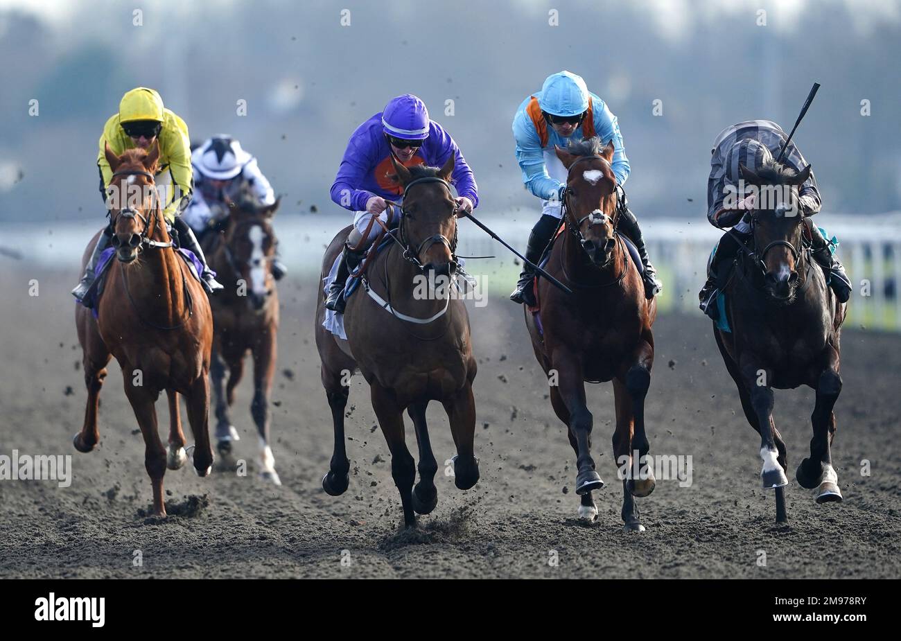 Warminster ridden by jockey Kieran O'Neill (second left) wins the Unibet Supports Safe Gambling Maiden Stakes at Kempton Park Racecourse, Surrey. Picture date: Tuesday January 17, 2023. Stock Photo