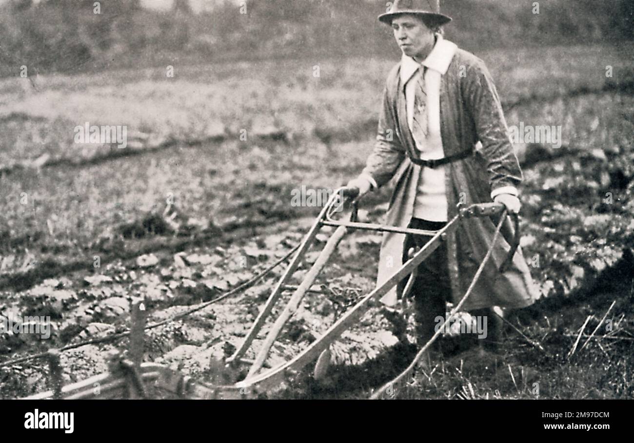 Woman ploughing a field during World War I Stock Photo