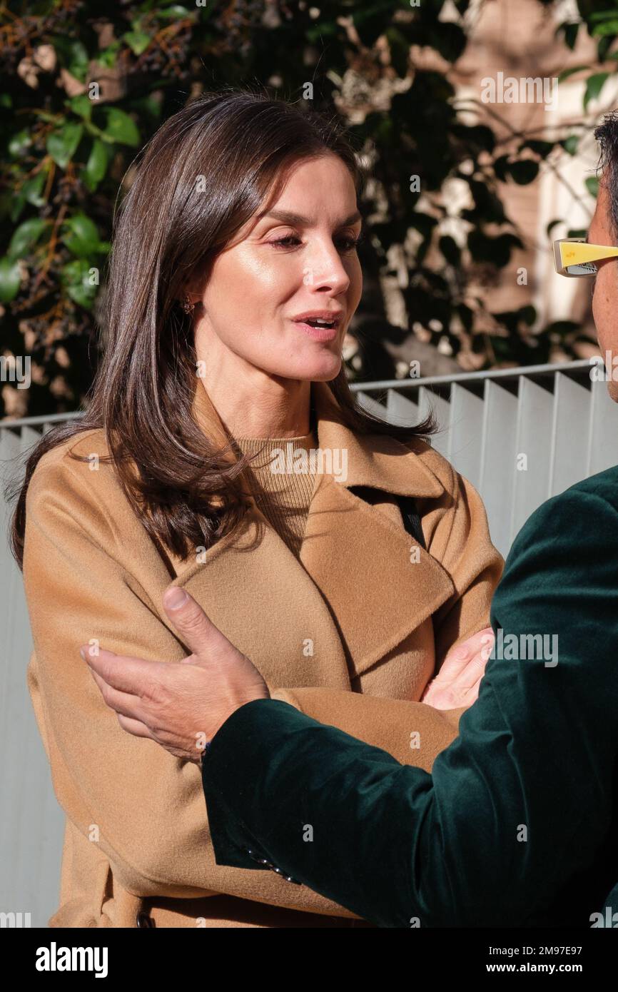 Madrid, Spain. 17th Jan, 2023. Queen Letizia of Spain attends a meeting at FEDER (Spanish Federation for Rare Diseases) headquarters in Madrid. Credit: SOPA Images Limited/Alamy Live News Stock Photo