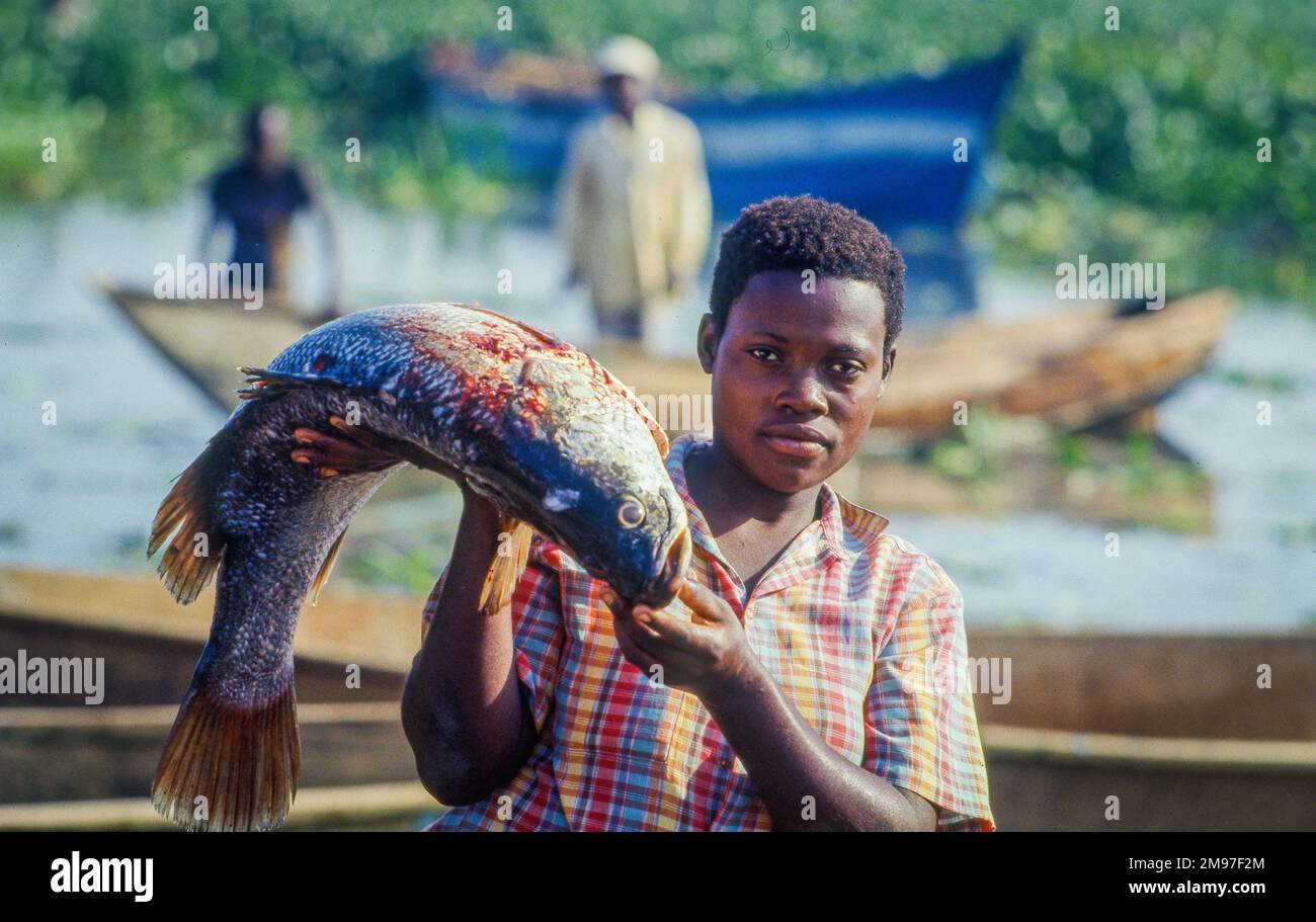 Uganda, Fishery at Lake Victoria. Water hyacinth is a plant that ...