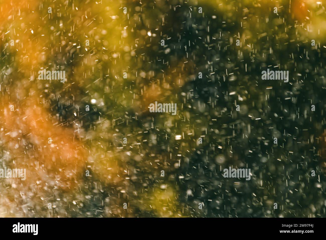 Raindrops during summer shower rain as abstract background, selective focus Stock Photo