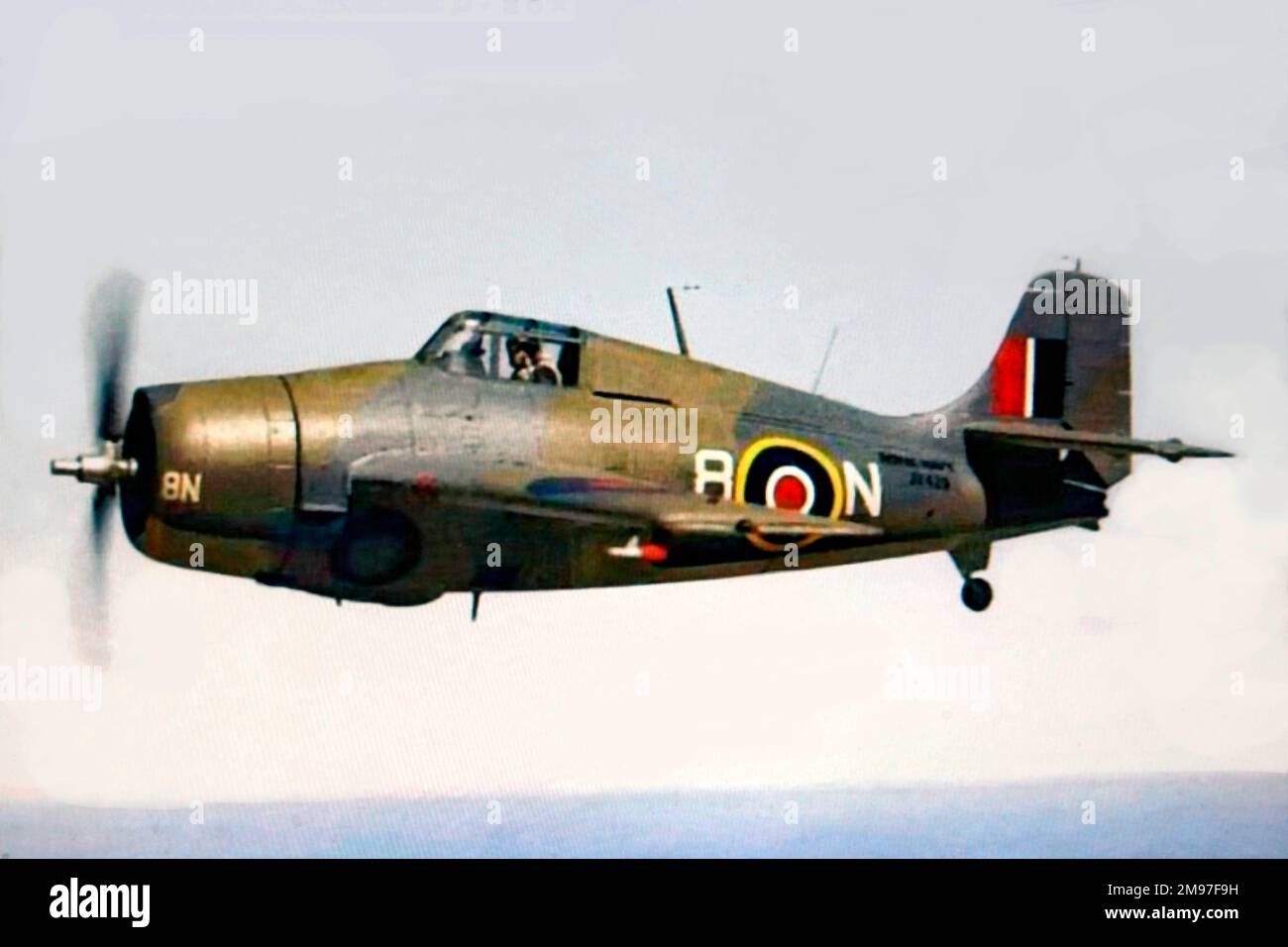 Grumman Marlet -flown by the Fleet Air Arm, this was the British version of the F4F Wildcat. Stock Photo