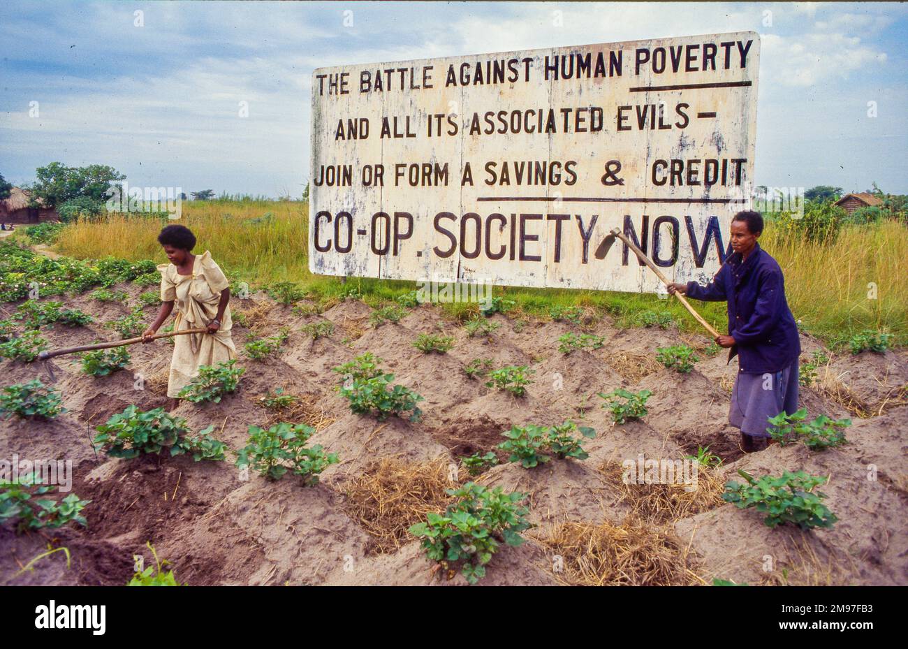 Uganda; billboard calling against human poverty, alongside a cropping field. Stock Photo