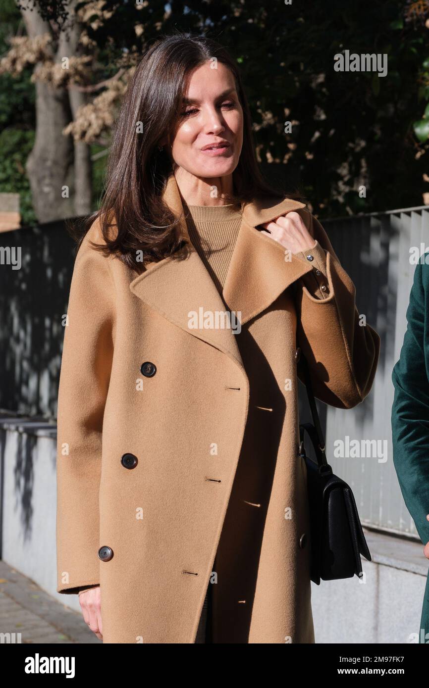 Madrid, Spain. 17th Jan, 2023. Queen Letizia of Spain attends a meeting at FEDER (Spanish Federation for Rare Diseases) headquarters in Madrid. (Photo by Atilano Garcia/SOPA Images/Sipa USA) Credit: Sipa USA/Alamy Live News Stock Photo