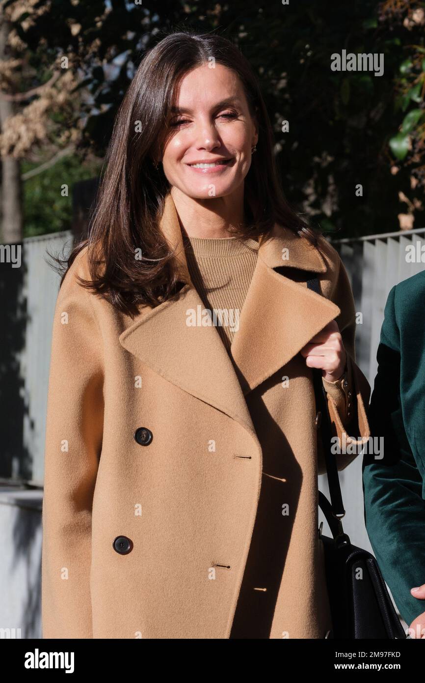Madrid, Spain. 17th Jan, 2023. Queen Letizia of Spain attends a meeting at FEDER (Spanish Federation for Rare Diseases) headquarters in Madrid. (Photo by Atilano Garcia/SOPA Images/Sipa USA) Credit: Sipa USA/Alamy Live News Stock Photo