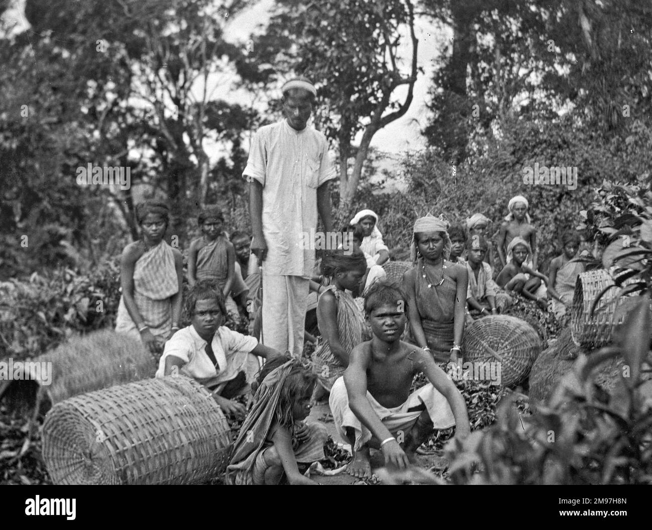 Tea plantation workers, Sri Lanka (Ceylon). Date circa 1920s Stock