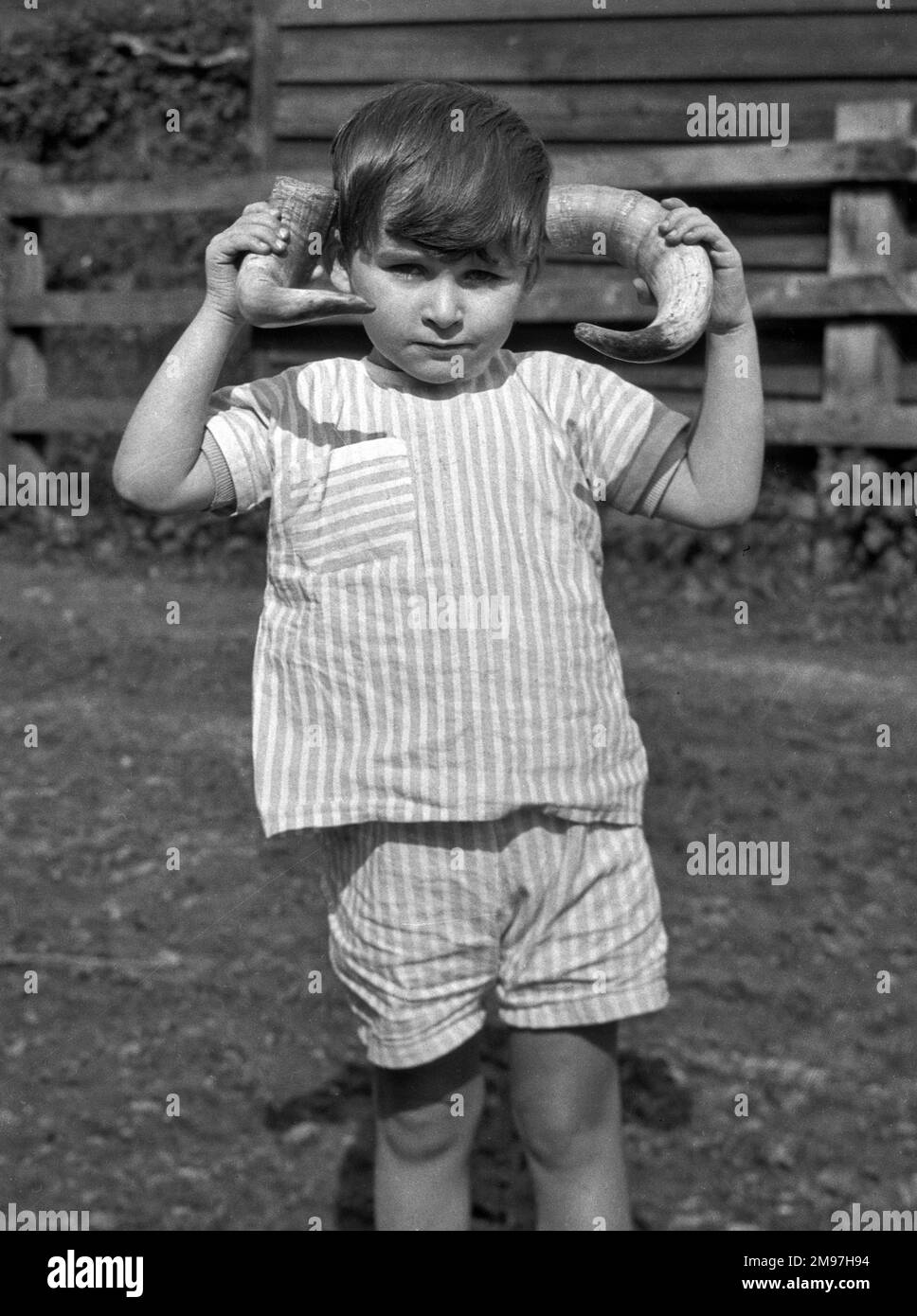 Little boy holding sheep horns. Stock Photo
