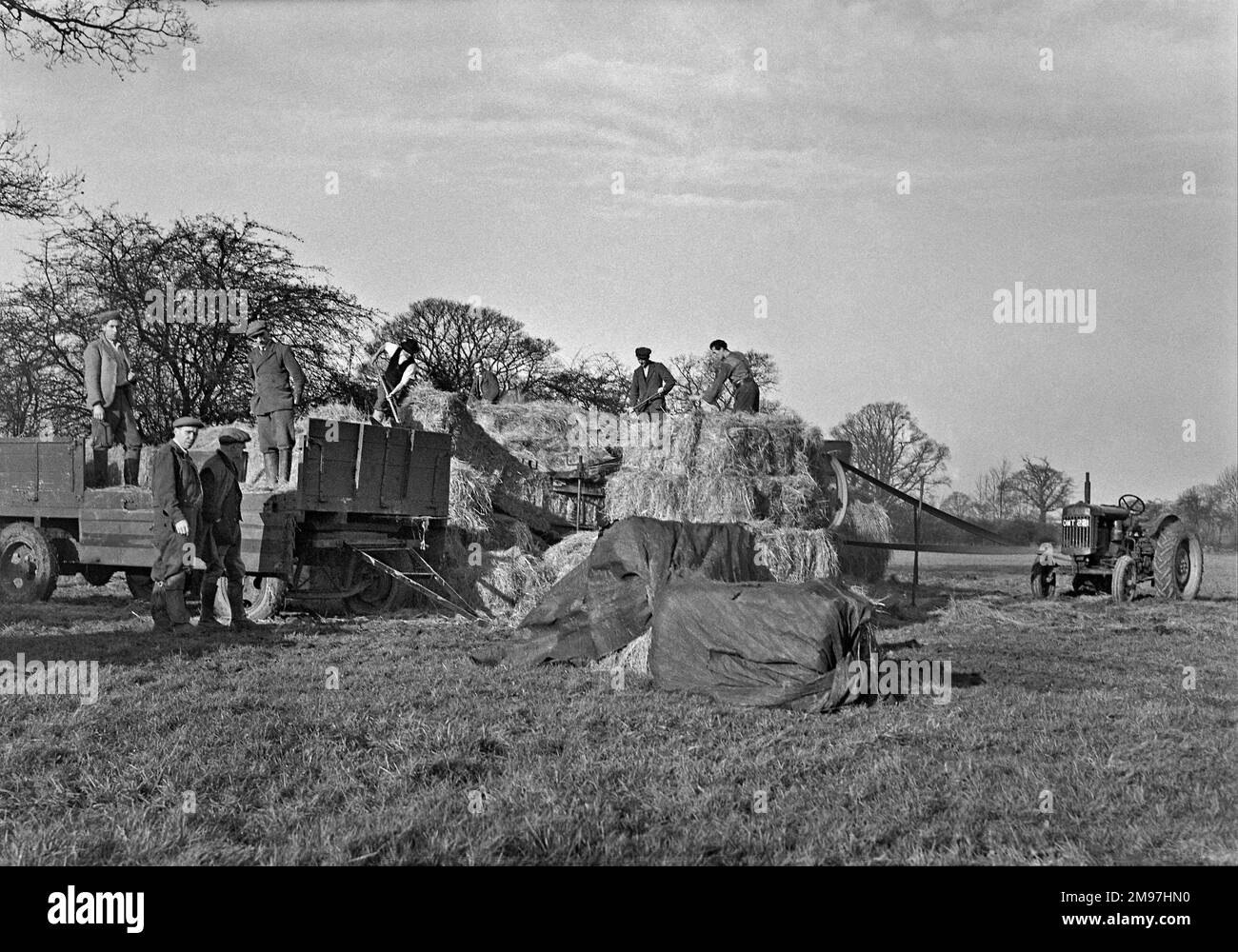 People haymaking in a field. Stock Photo