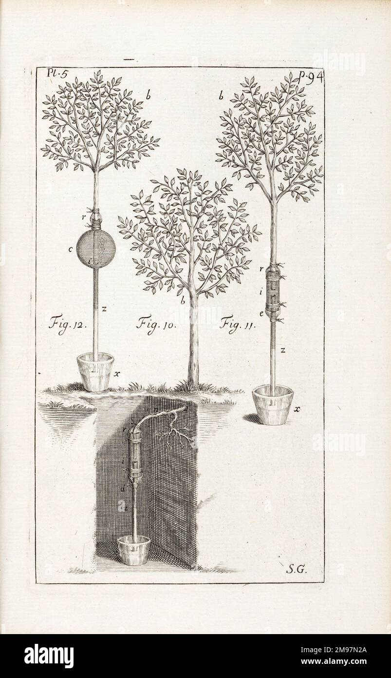 stephen hales experiment on photosynthesis